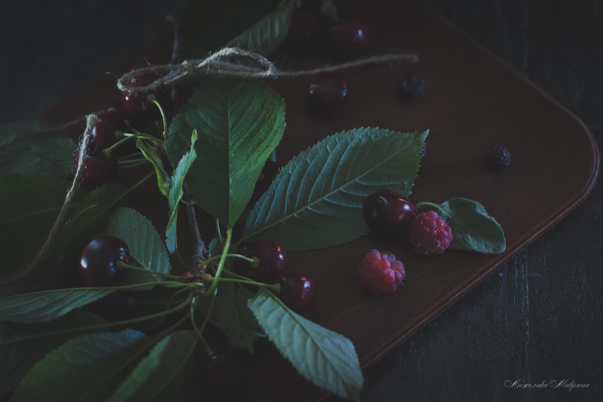 Защита молодых растений от заболеваний и вредителей в холодное время года Защита молодых растений от заболеваний и вредителей в холодное время года