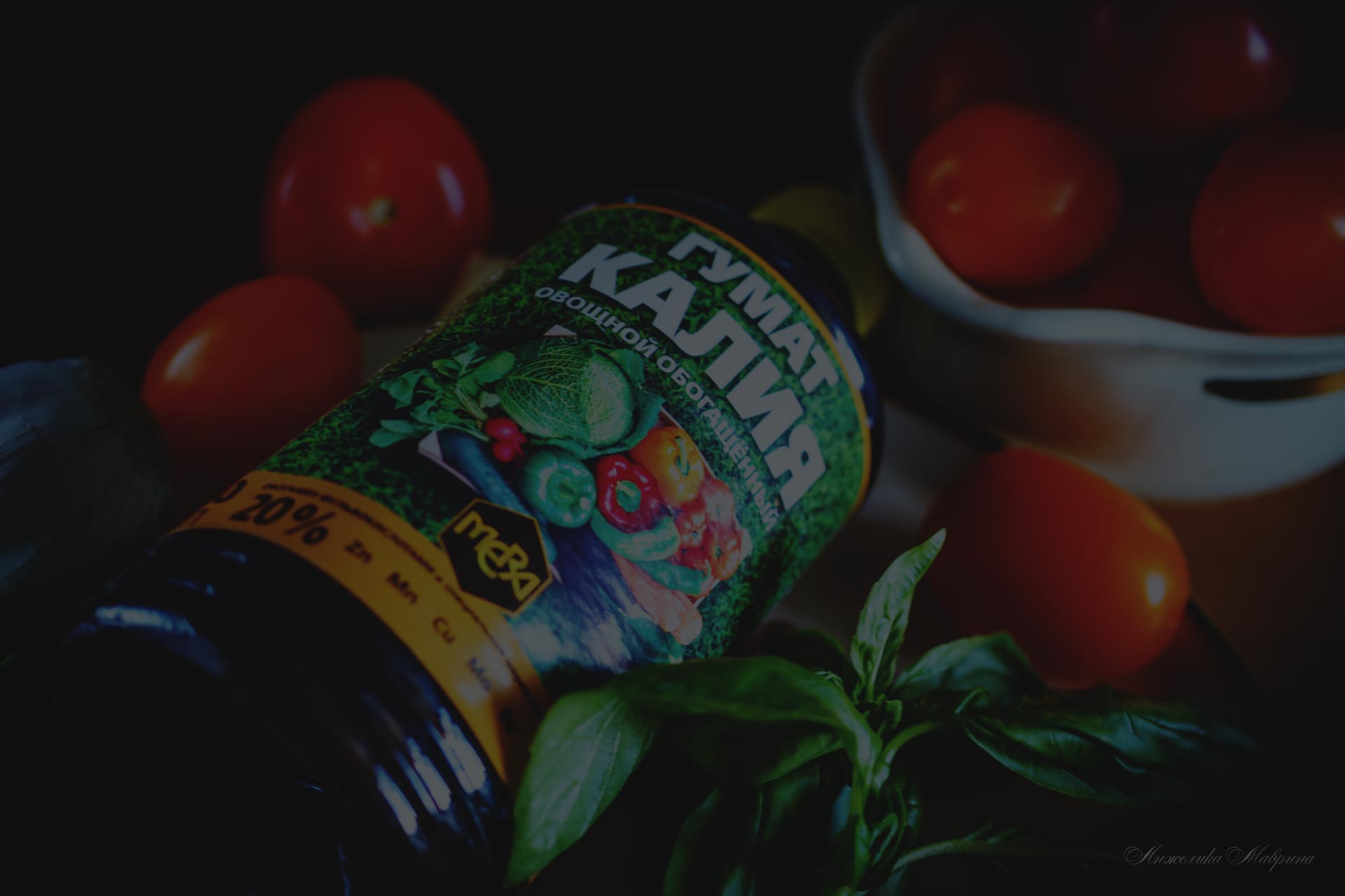 Защита молодых растений от заболеваний и вредителей в холодное время года