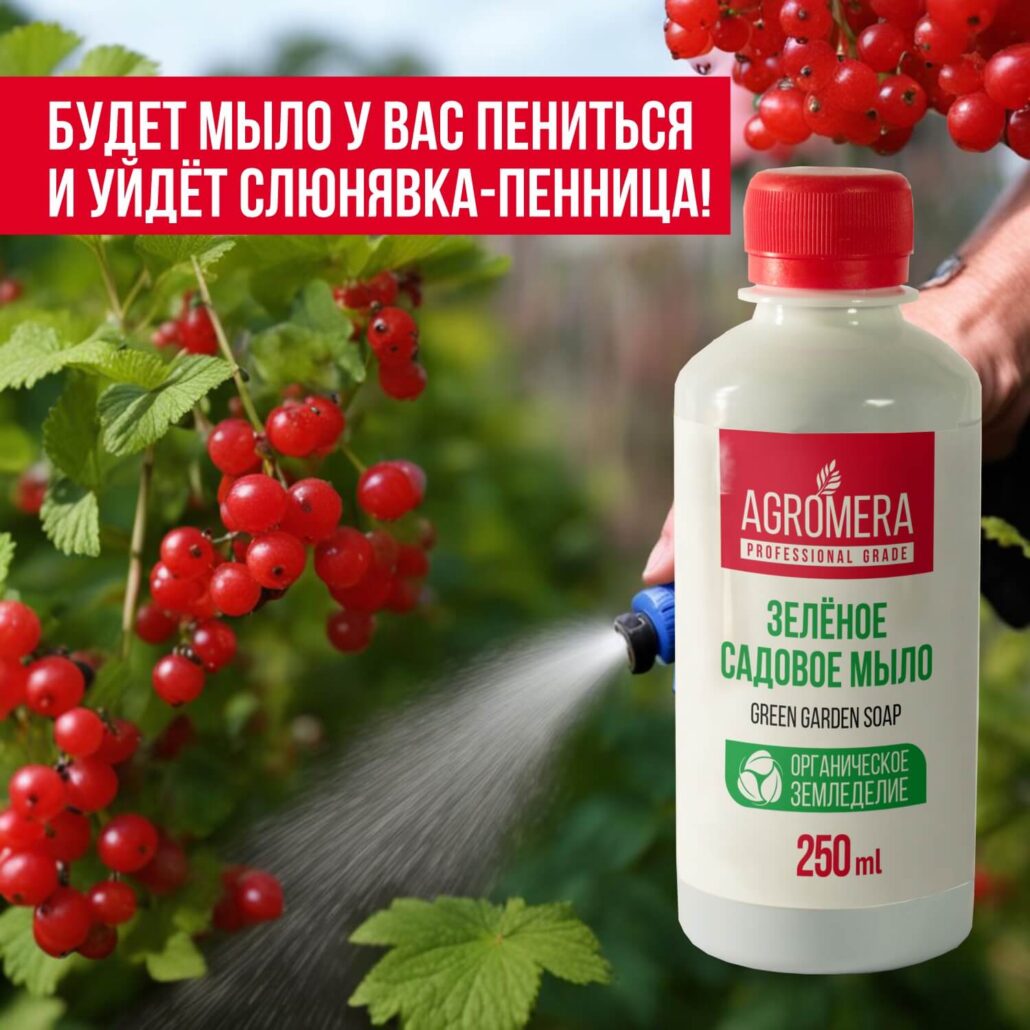 купить зеленое мыло для растений