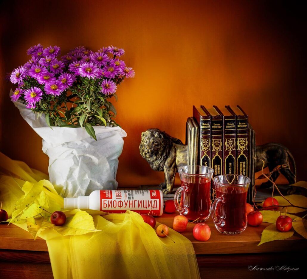 защита цветов от болезней