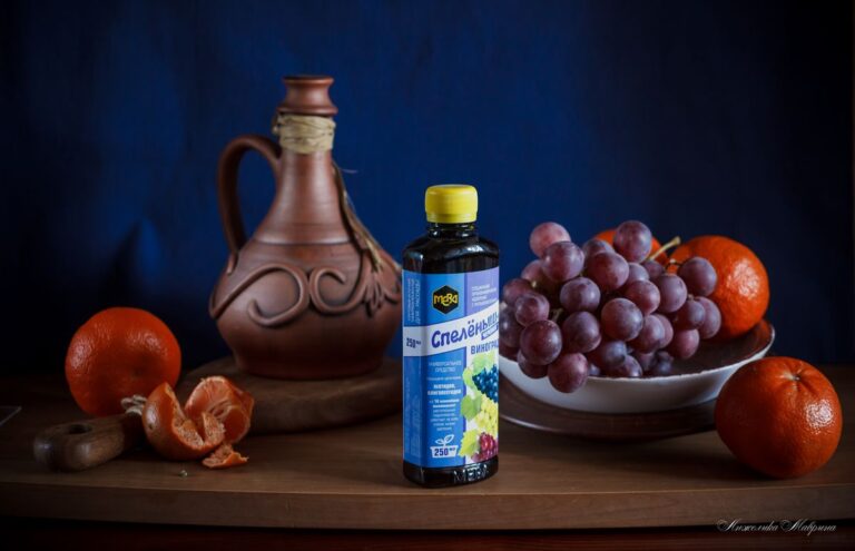 Пересадка молодых саженцев винограда в открытый грунт: секреты успешного приживания